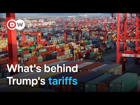 How Trump&#039;s tariffs will impact the global economy | DW News